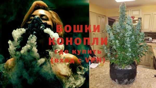 дмт Ладушкин
