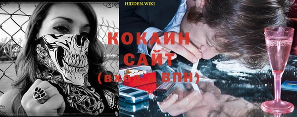 дмт Ладушкин