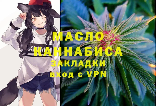 дмт Ладушкин