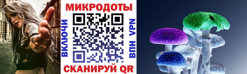 Псилоцибиновые грибы Cubensis  Купить закладки  Дивногорск 